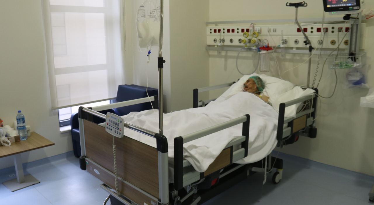 Asırlık çınar virüse karşı yaşam mücadelesini kazandı